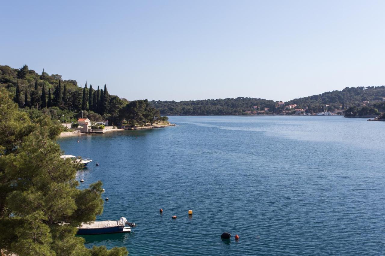 Villa Malfi Zaton (Dubrovnik-Neretva) Exterior foto