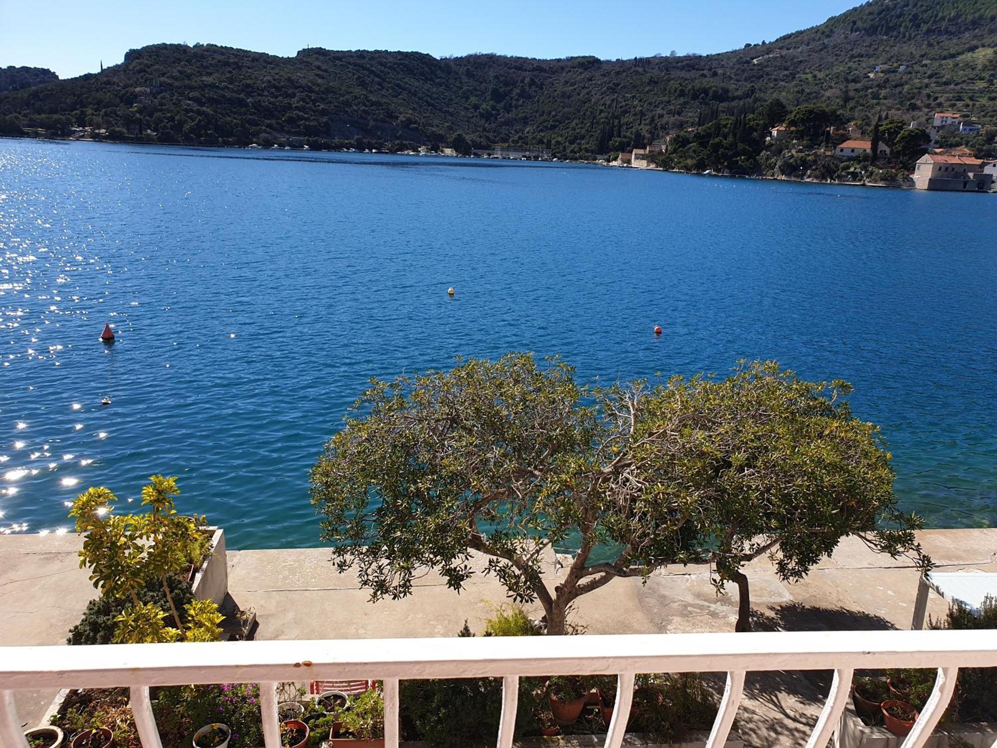 Villa Malfi Zaton (Dubrovnik-Neretva) Quarto foto